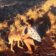 Viralhog Kangaroo GIF - Viralhog Kangaroo Hug GIFs