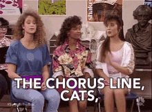 The Chorus Line Cats GIF