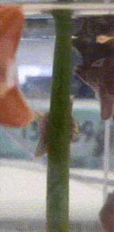 a close up of a green pole with a blurred background of a building