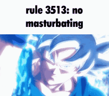 Goku Rule GIF - Goku Rule 3513 GIFs