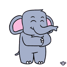 Elephant GIFs | Tenor