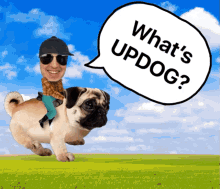 Kitboga Whats Updog GIF - Kitboga Whats Updog Pug GIFs