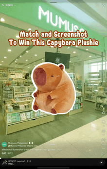 a picture of a stuffed animal with the words match and screenshot to win this capybara plushie above it