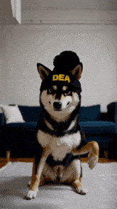 a dog wearing a hat that says " dea " on it