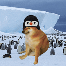 Cheems Dog GIF - Cheems Dog Ice GIFs