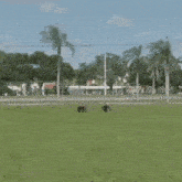 a man without a shirt is jumping in the air in a field with his arms outstretched
