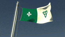 a green and white flag with a celtic symbol