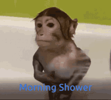 Heisen Shower GIF - Heisen Shower Morning GIFs