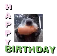 a happy birthday card with a squirrel holding a carrot in its paws