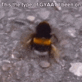 Gyat Gyatt GIF - Gyat Gyatt Kai GIFs