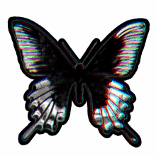 flashing butterfly