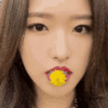 Olivia Hye Reaction Olivia Hye Dog Flower GIF - Olivia Hye Reaction Olivia Hye Dog Flower Olivia Hye Cute Reaction GIFs