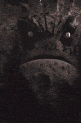 a man wearing a mask with a lizard face on it