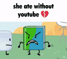 book bfb bfdi ate without youtube