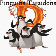 Pinguins GIF - Pinguins GIFs