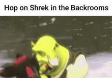 Hop On Shrek GIF - Hop On Shrek Shrek In The Backrooms GIFs