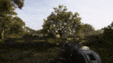 a person is holding a gun in a field with trees in the background