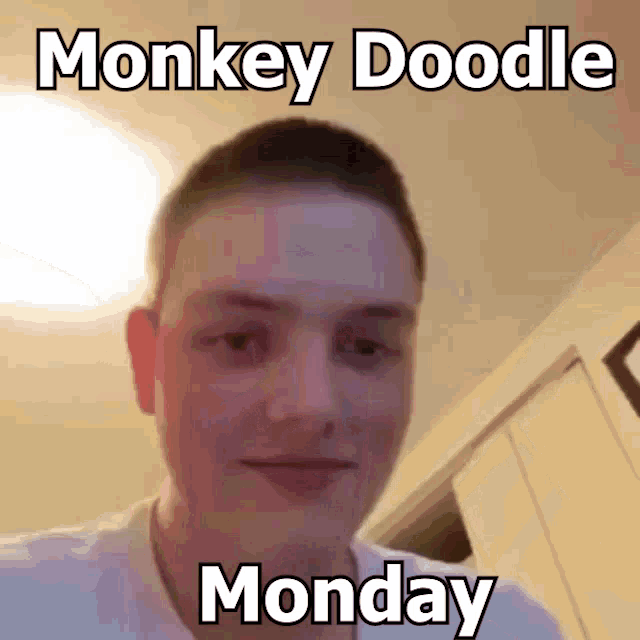 Monkey Doodle GIF - Monkey Doodle GIFs