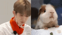 Heeseung Hamster GIF - Heeseung Hamster Enhypen GIFs
