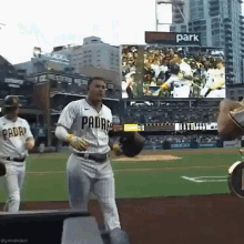 Padres L San Diego Padres L GIF - Padres L San Diego Padres L Ladres GIFs