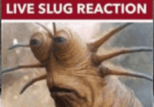 Live Slug Reaction Klaud GIF - Live Slug Reaction Klaud Star Wars GIFs