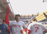 Hammy Red Sox GIF - Hammy Red Sox Hamilton GIFs