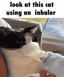 Inhaler Inhaler Cat GIF