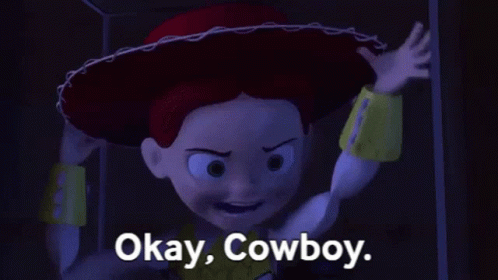 toy story 2 jessie and woody fight