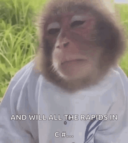 Meme Monkey GIF - Meme Monkey - Discover & Share GIFs