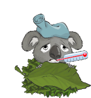 Hangouts Koala Sticker - Hangouts Koala Sick Stickers
