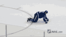Maple Leafs Cant Skate GIF