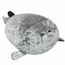 Seal Squishy Cute Seal GIF - Seal Squishy Cute Seal Seal Pillow GIFs
