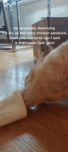 a picture of a cat with a caption that says me absolutely destroying