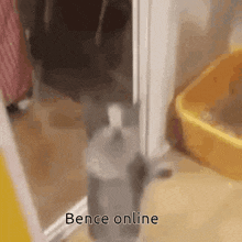 Bence Online GIF - Bence Online GIFs