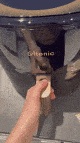 Airfryer Friteuse A Air Chaud GIF - Airfryer Friteuse A Air Chaud Chips GIFs