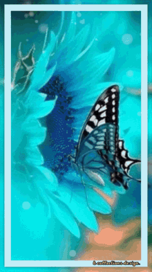Creative Creativity GIF - Creative Creativity Butterfly GIFs