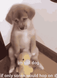 Sad Dog Soren GIF - Sad Dog Soren Hop On GIFs