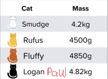 Logan Paul Cat Name GIF