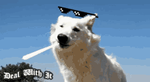 Thug Life White Dog GIF - Thug Life White Dog Deal With It GIFs
