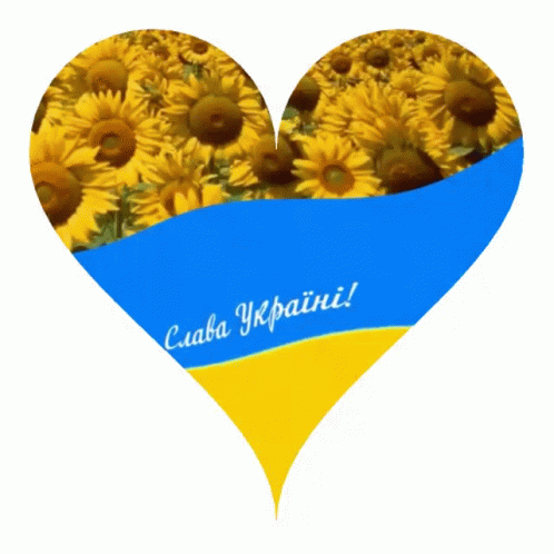 WYNIKI Ukraine-ukraine-flag