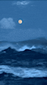 a full moon rises over a body of water at night