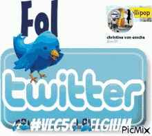 Follow On Twitter Vec50 GIF