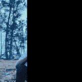 a man in a white shirt is talking on a cell phone in front of trees with the letter r above him