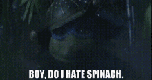 Tmnt Leonardo GIF - Tmnt Leonardo Boy Do I Hate Spinach GIFs