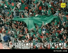 Mashrafe Mortaza Bangla Gif GIF - Mashrafe Mortaza Bangla Gif Gifgari Cricket GIFs