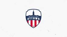Amer Didic Atletico Ottawa GIF - Amer Didic Atletico Ottawa GIFs