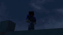 a person standing on top of a hill in a minecraft game