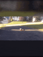 a person riding a skateboard down a street with houses in the background