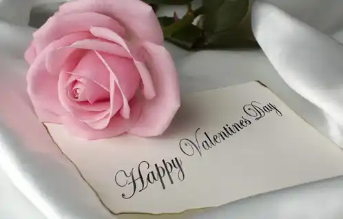 Happy Valentine'S Day Greetimg Card GIF - Happy Valentine'S Day Greetimg Card Pink Rose Flower GIFs