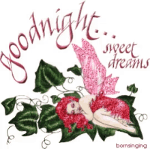 Good Night Sweet Dreams GIF - Good Night Sweet Dreams Fairy GIFs